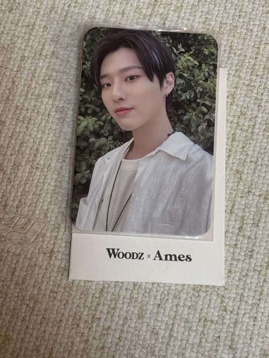 조승연 우즈 woodz 아메스 포토카드