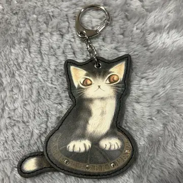 와치필드
