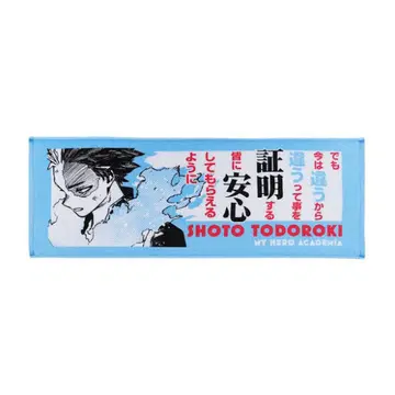 히로아카 토도로키 쇼토 포지티브 타월