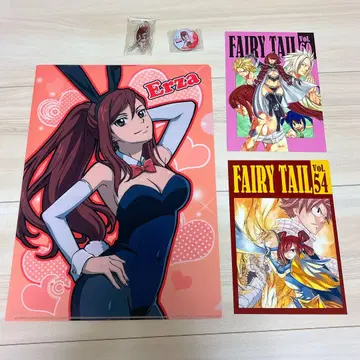 페어리 테일 FAIRYTAIL Erza Scarlet 엘자