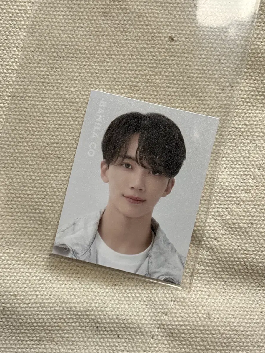 정한 바닐라코 증사