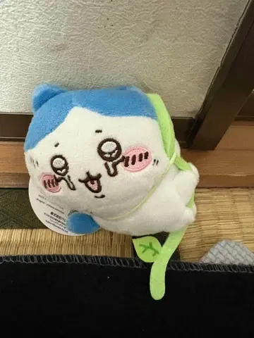 치이카와 (먼작귀) 구멍에 빠진 마스코트 하치와레