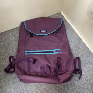 파타고니아 Patagonia Arbor Market Pack All