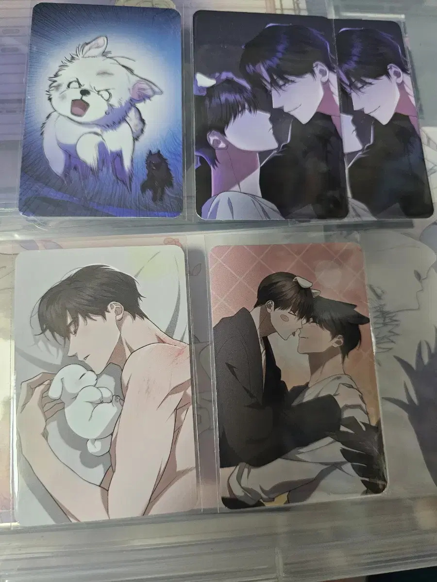 [Sell] Selling Kang Gunma, Wipyun, Biyeondam, Hyung's Omega poca.