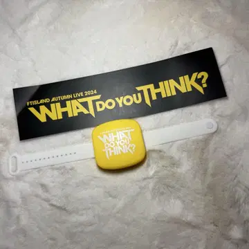 Ftisland LED 팔찌
