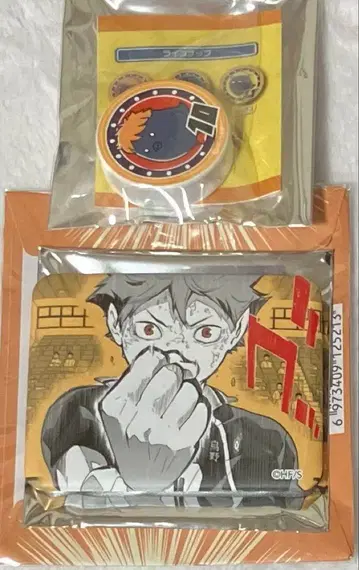 하이큐 점프샵 상하이 캔뱃지 10주년전 지퍼 바이트 히나타 쇼요