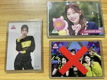 IS:SUE 사카구치 리노 RINO 일본 브로마이드 2종 세트