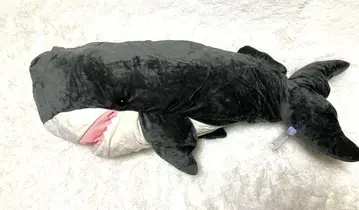쿠타리 고래 2 초대형 봉제 인형 약 85cm(미사용)