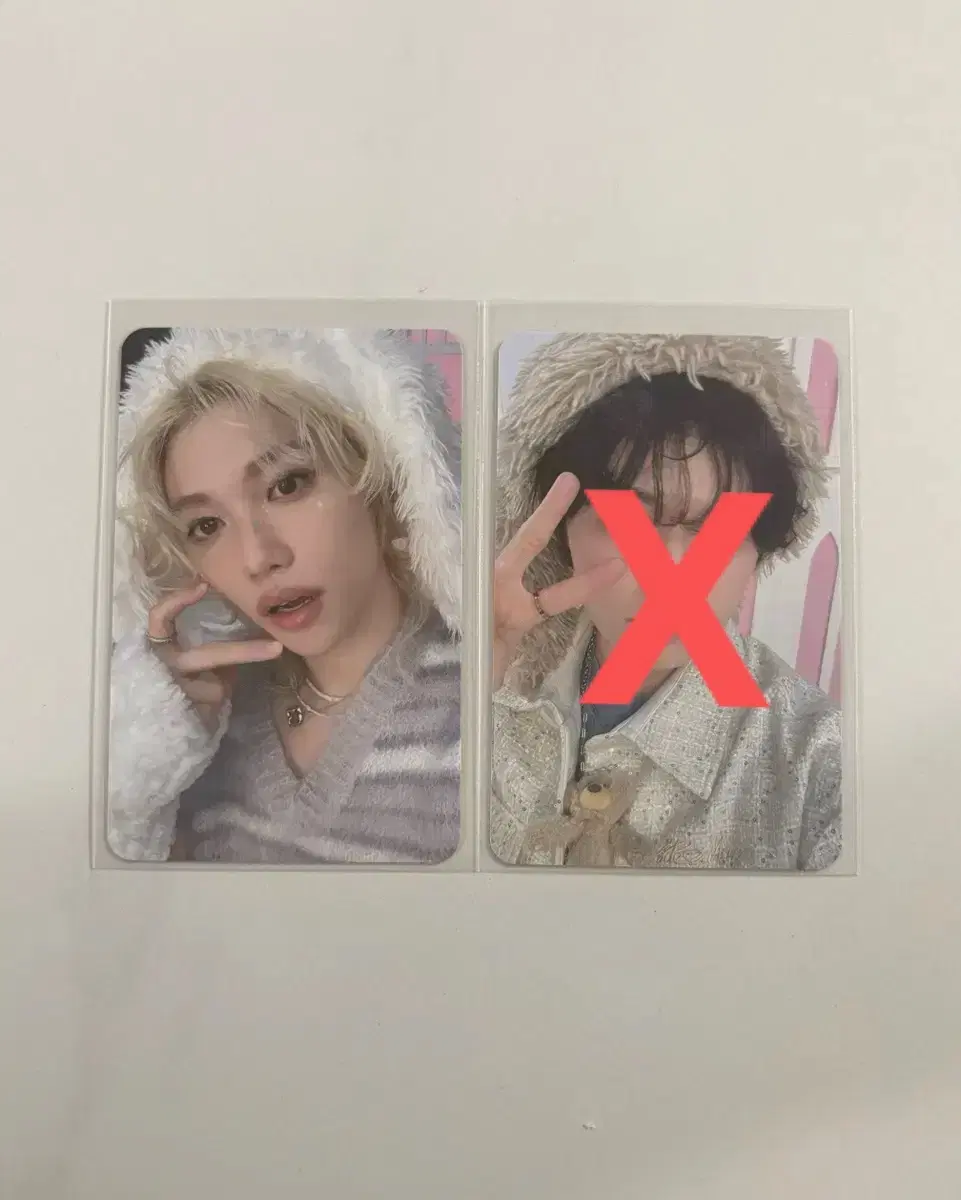 5clock 팬미팅 막콘 스테이존 리노 포카 양도