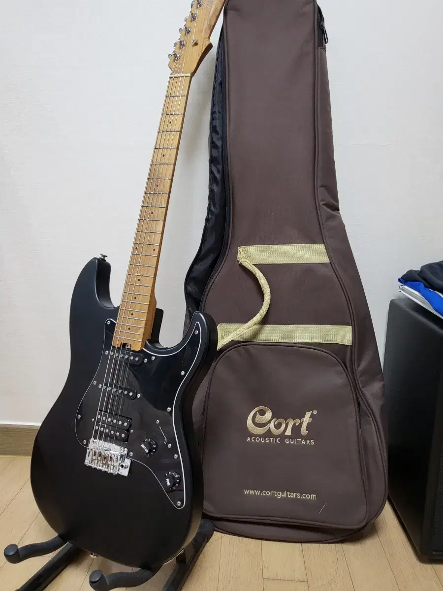 헥스 E300 일렉기타