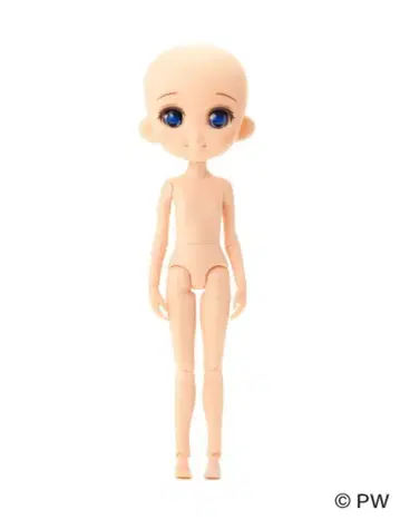 반려동물 웍스 오데트 001