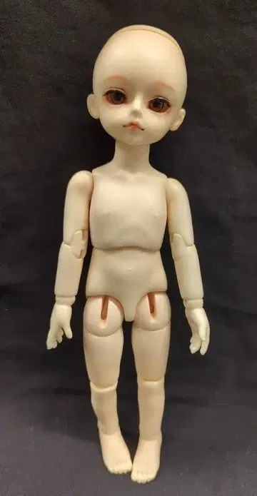 루츠 허니 델프