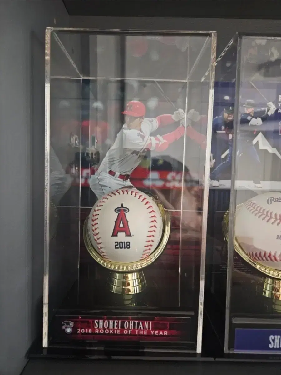 Shohei Ohtani Memorial Display Case