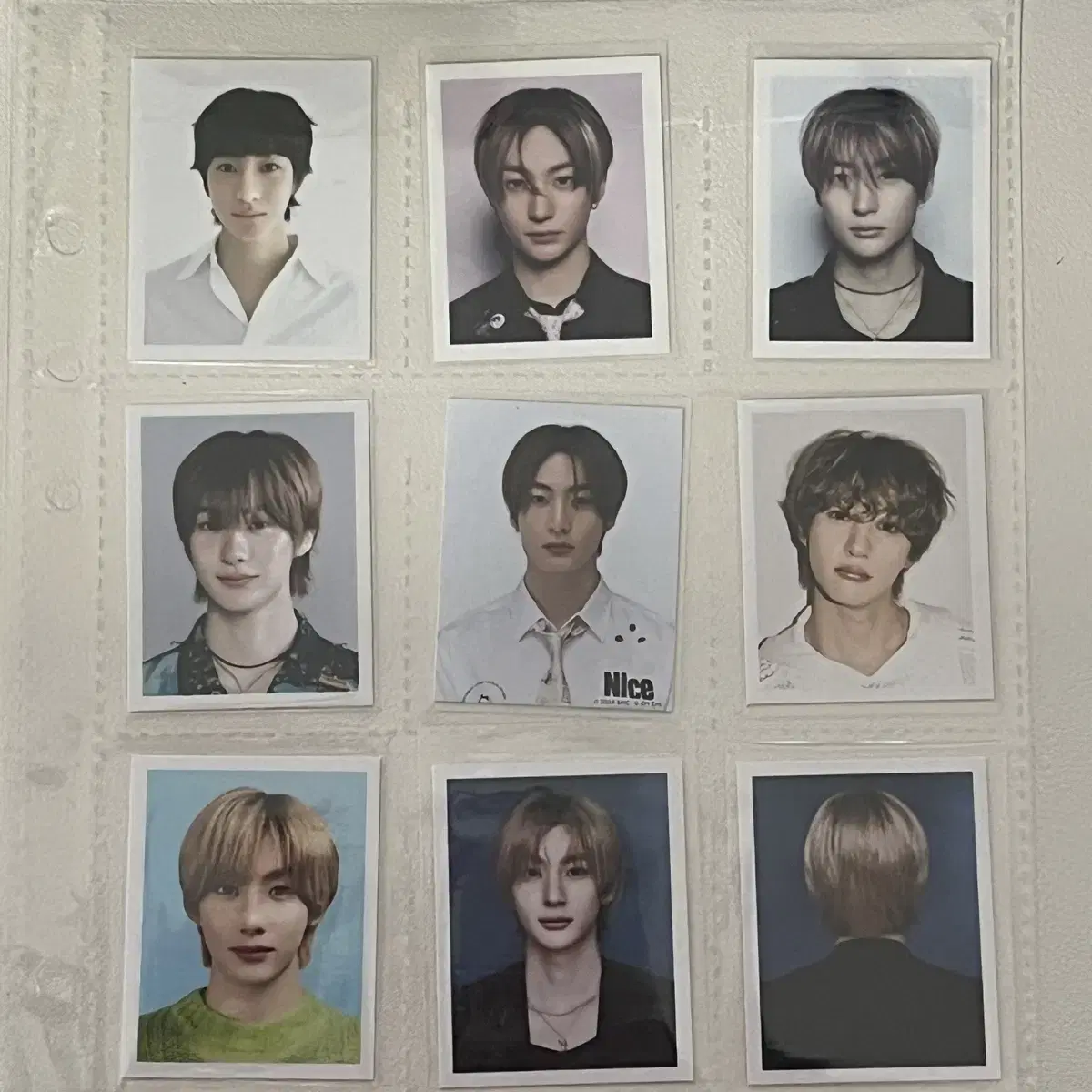 라이즈 앤톤 공식 증사+라이즈 허그 엠디 증사 일괄