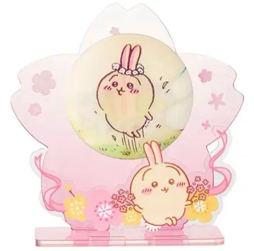 MINISO 토끼 벚꽃의 계절 캔뱃지 아크릴 스탠드 세트 당일 발송