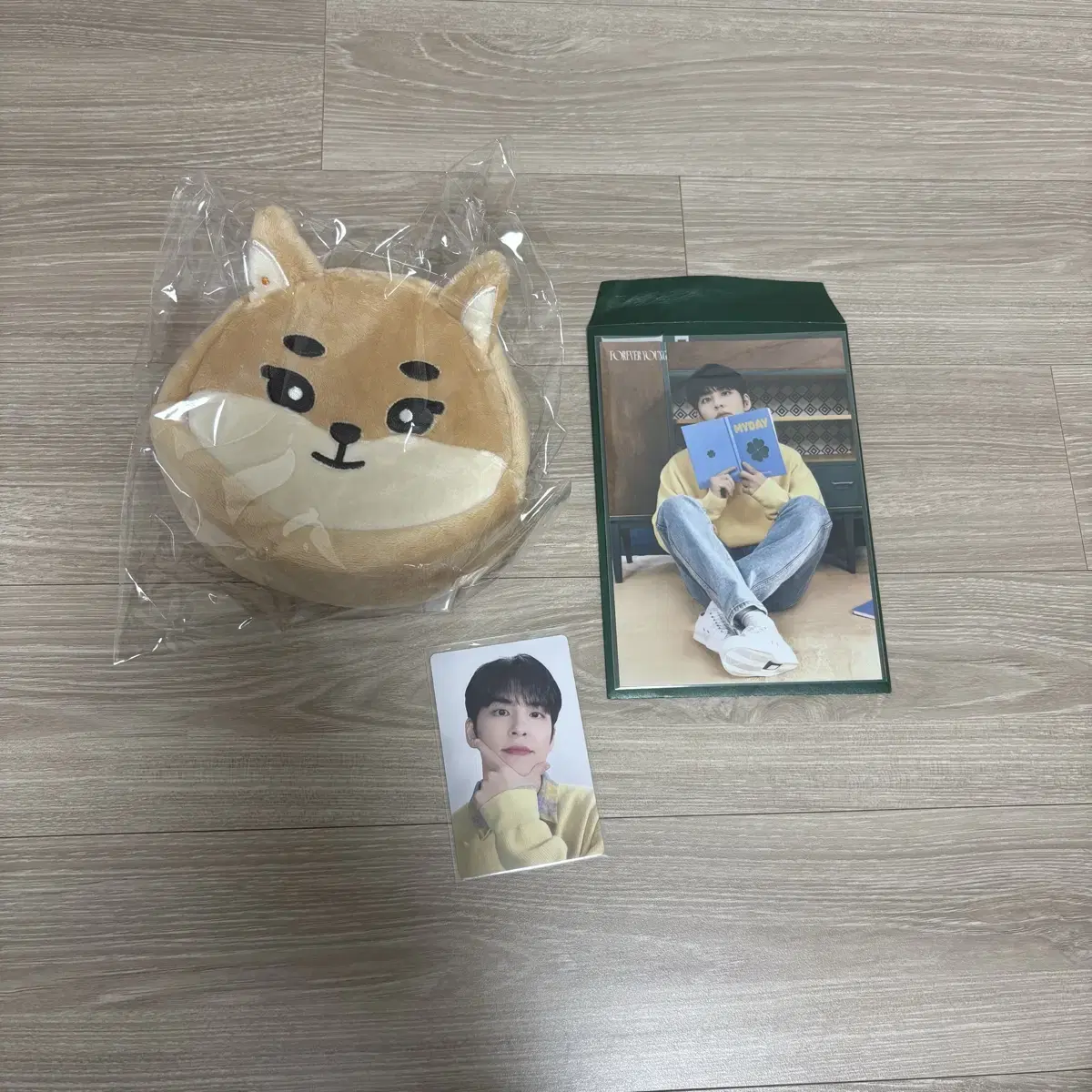 데이식스 일본 엠디 케 파우치 미개봉