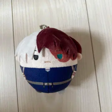 토도로키 쇼토 후와코로린