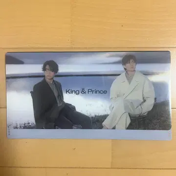 킹프리 티켓 홀더