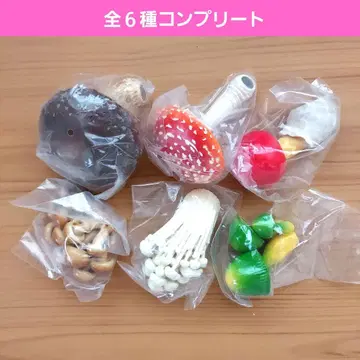 버섯 마그넷 가챠가챠 이키몬 시이타케 에노키 나메코 베니텐