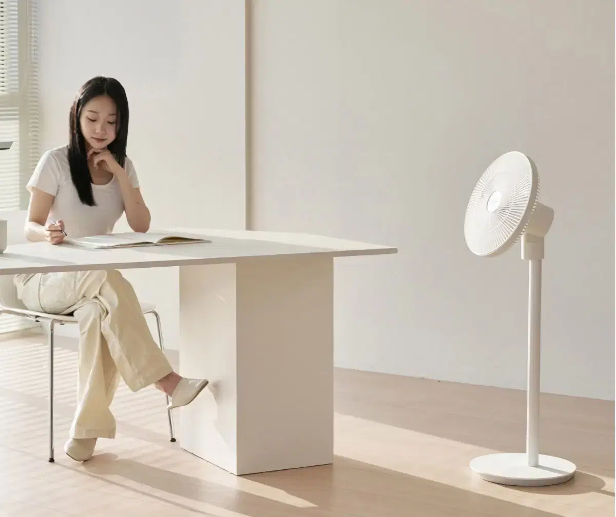 Lewmena Fan Classic 3 Wireless Fan