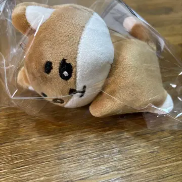 DAY6 The Present YoungK KE 인형