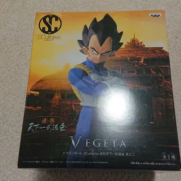 베지터 조형 천하일