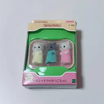 실바니안 패밀리 쌍둥이 아기 페르시아 고양이