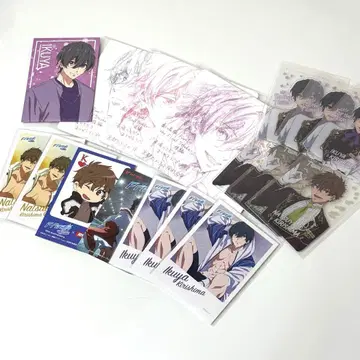 Free! 오동나무 이쿠야 오동나무 나츠야 세트