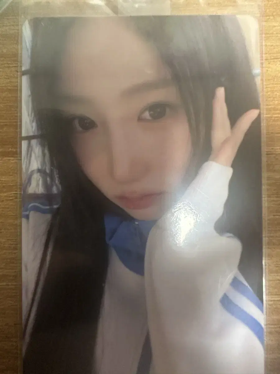 세이마이네임 메이 공방 포카 세마넴