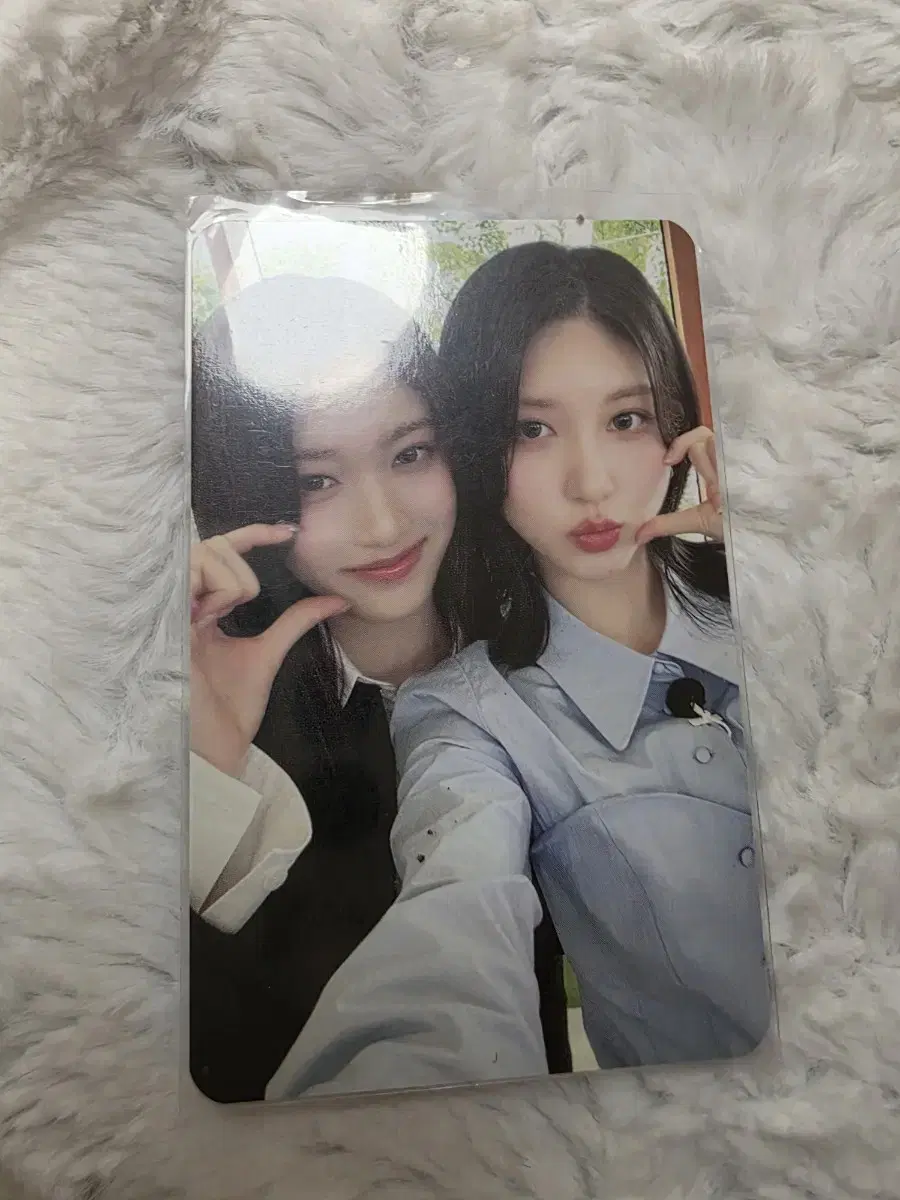 아이브 매거진 이서&가을 포토팩 포카