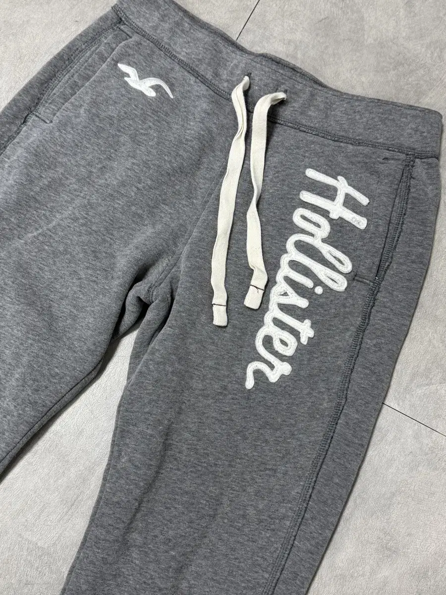 Holister Main Embroidered Training Pants M