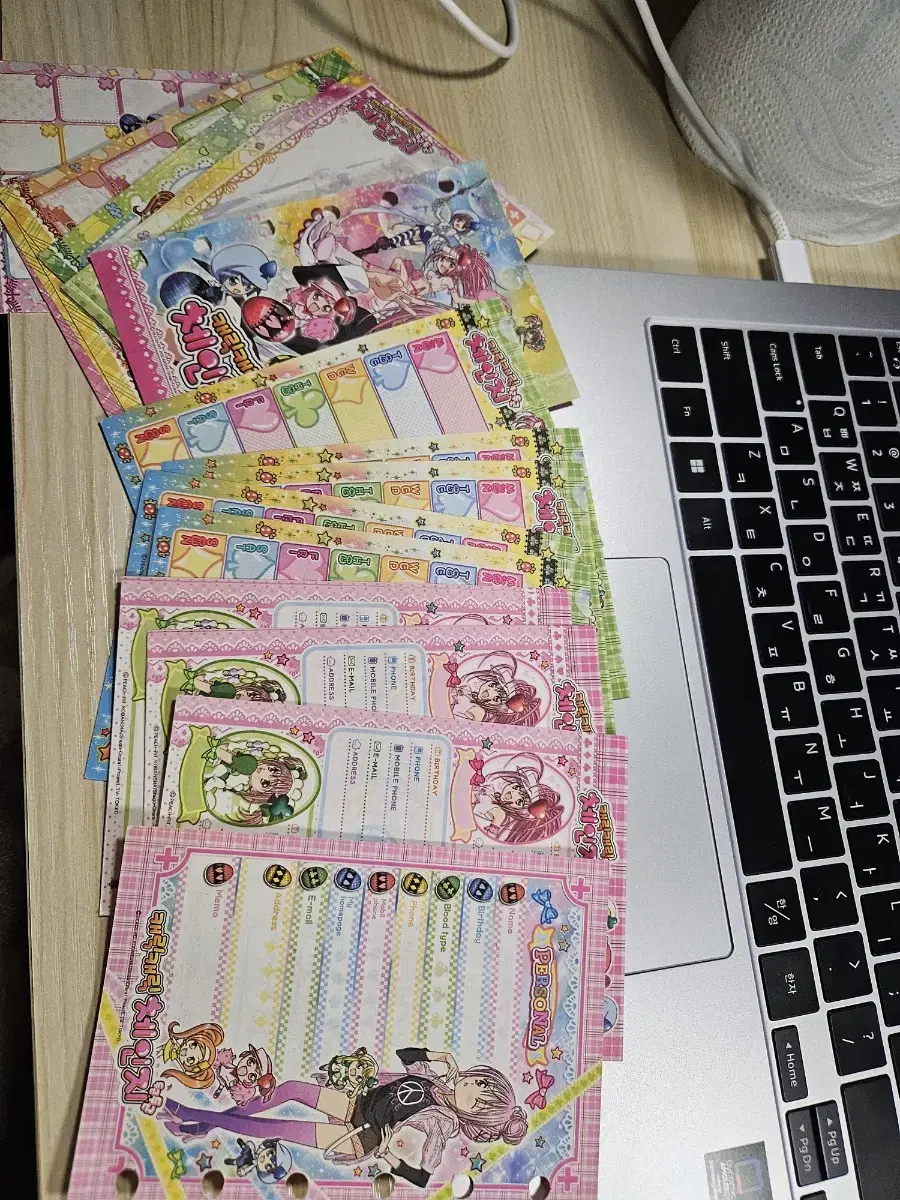 캐릭캐릭체인지 다이어리 속지 총 37장