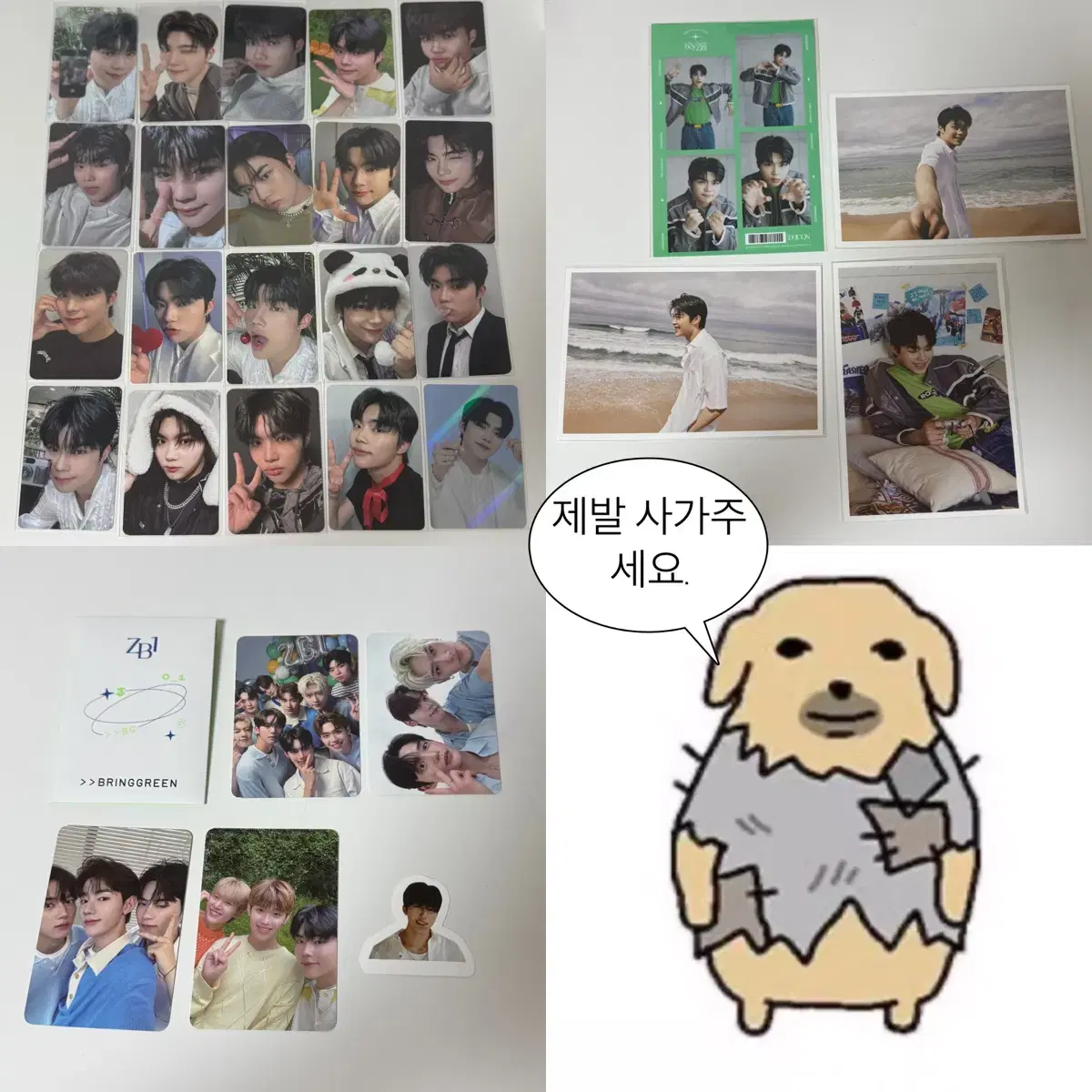 제베원 박건욱 공굿 일괄 양도 (엘포 미공포 럭드 브링그린 디아이콘)
