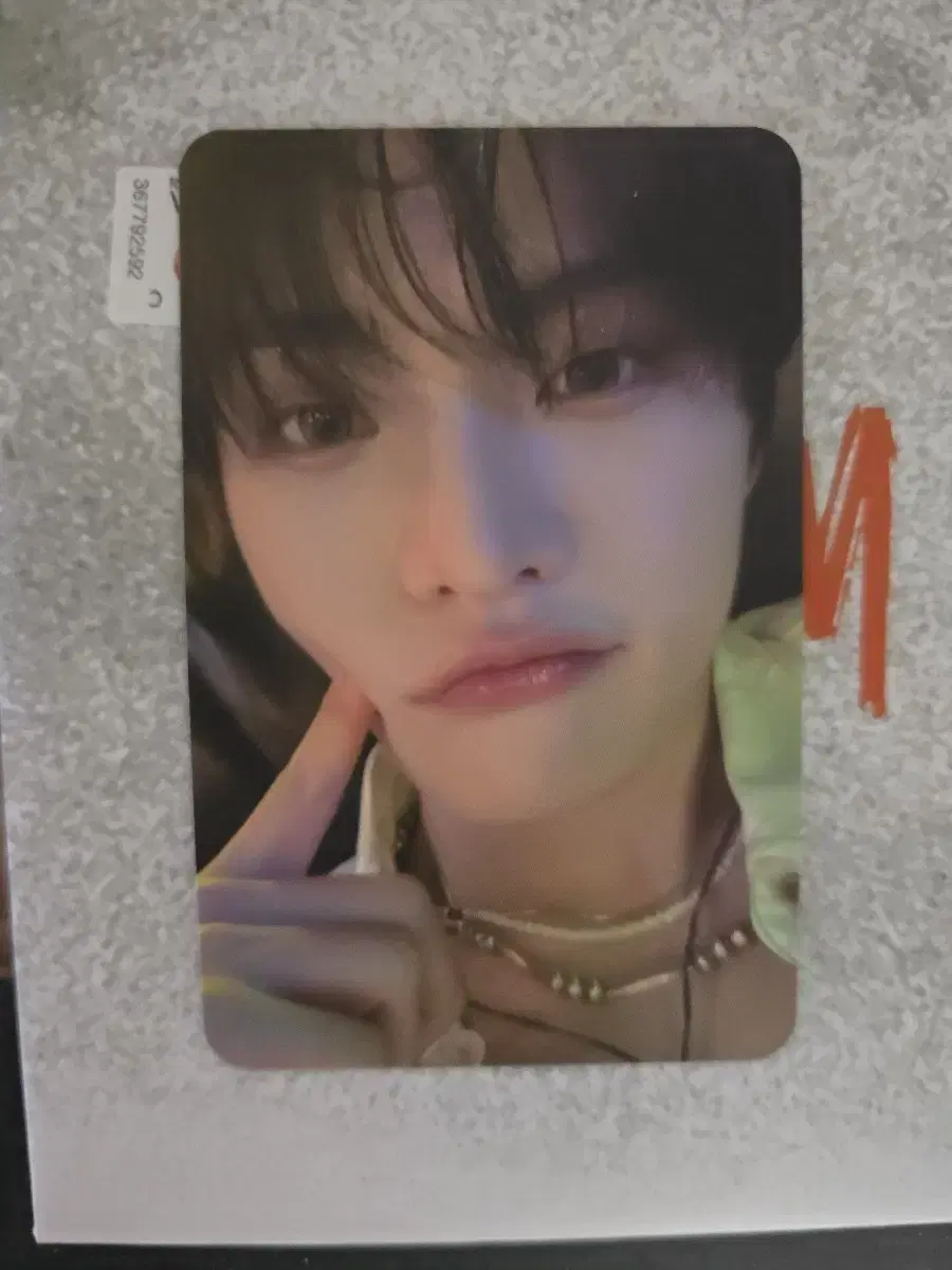 제이민 전민욱 what 앨범포카