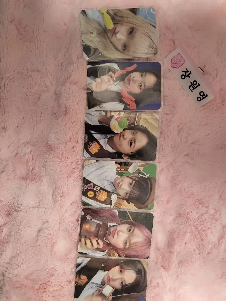 아이브 다이브존 2일차 막콘 세트 가을 유진 원영 레이 리즈 이서