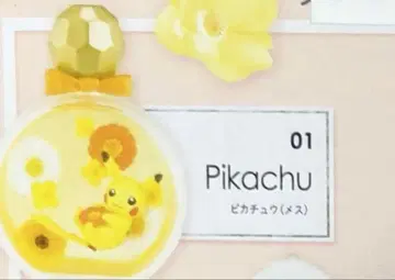 리멘트 포켓몬 쁘띠 퓌르 PETITEFLEUR 1 피카츄