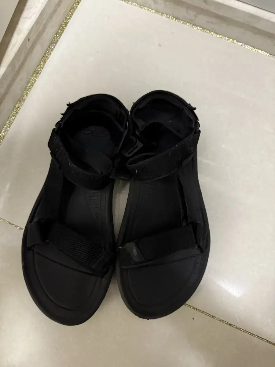 테바 xlt2 270
