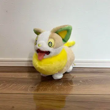 포켓몬 겟! 너로 정했다! 완파치 봉제 인형