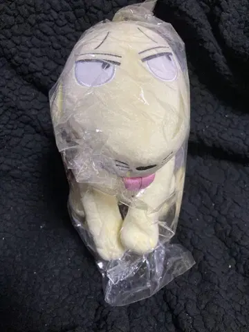 카이지 전 카이지 개 봉제 인형