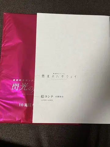 섬광의 하사웨이 10주차 입장 혜택