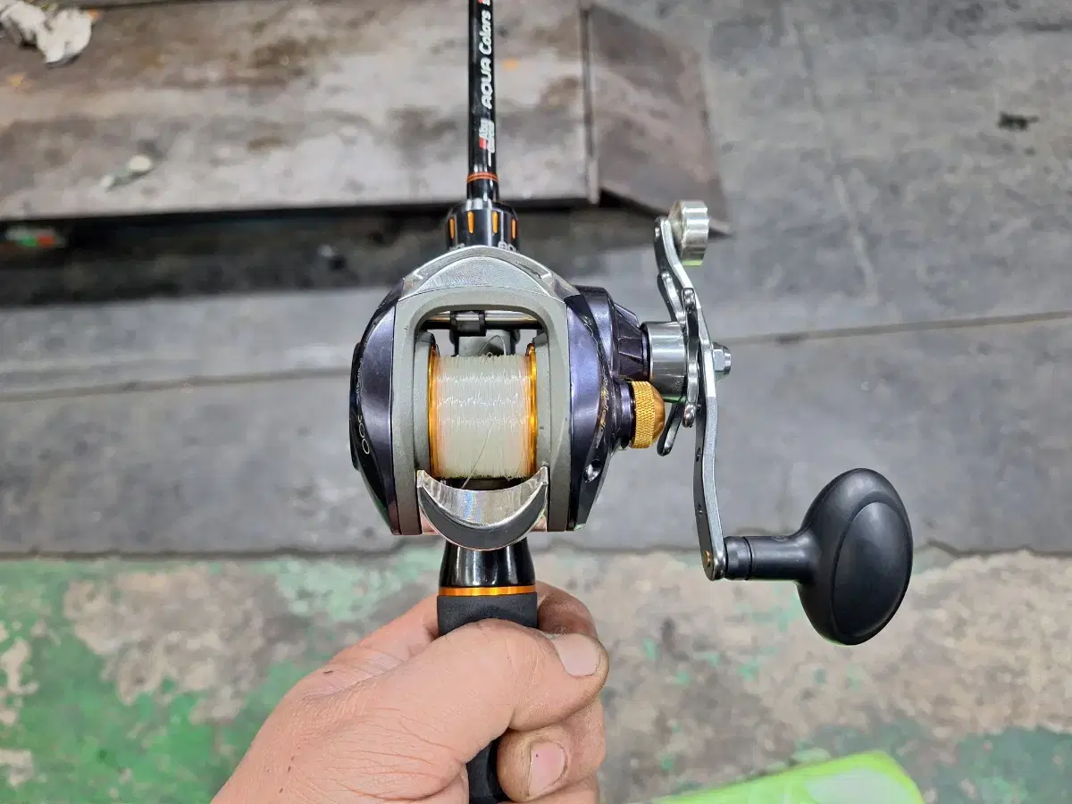 Aguarcia Aqua Colors 190+Keumyang Spark 300 Bait Reel for sale