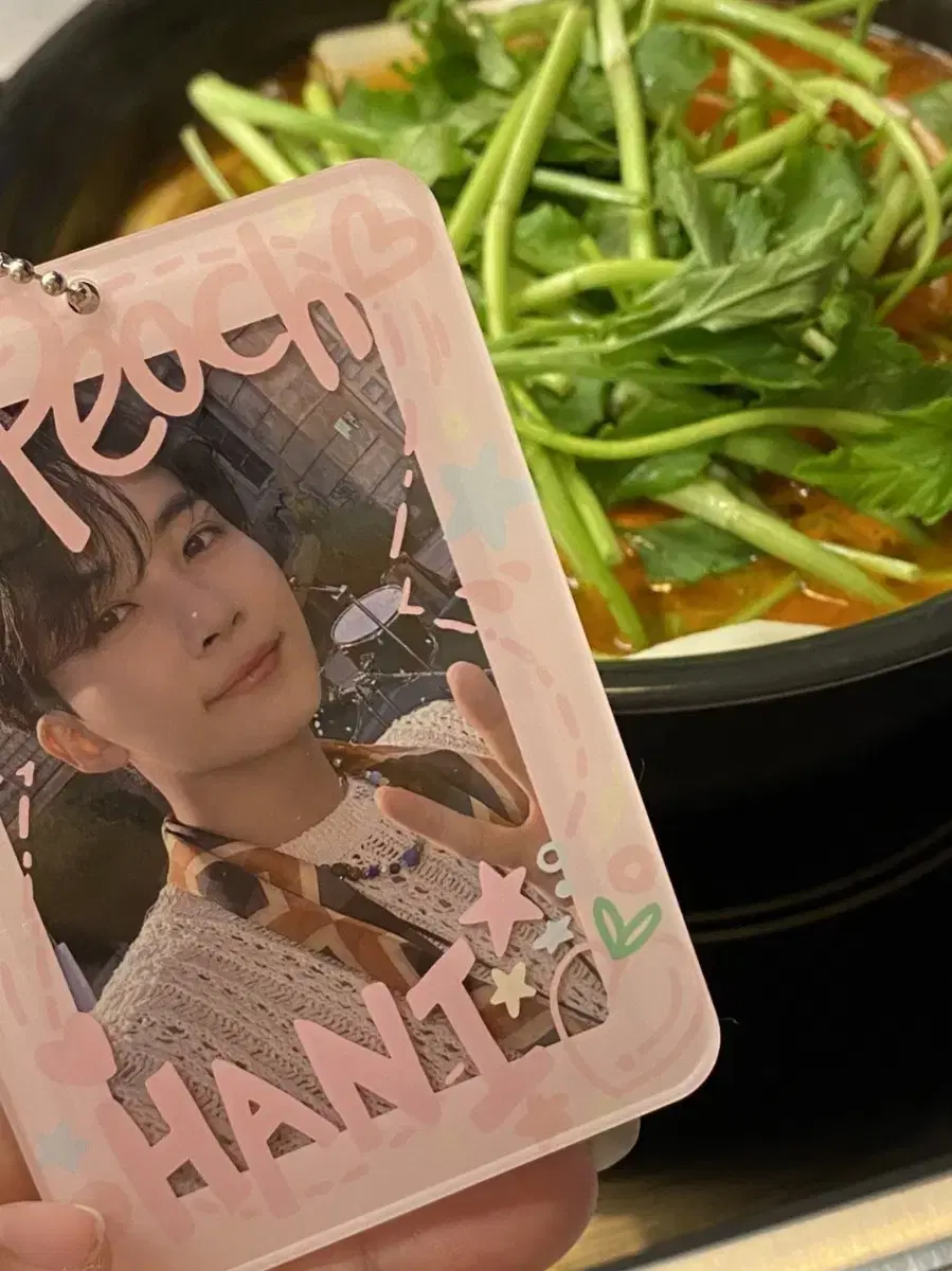 Seventeen jeonghan Pitch hanni acrylic photocard holder WTS