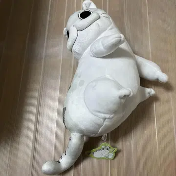 쿠루가 봉제 인형 중형