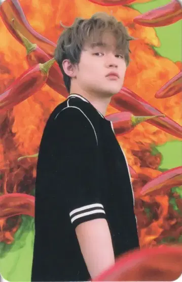 NCT DREAM 주얼 케이스 Ver. CHENLE 핫 소스