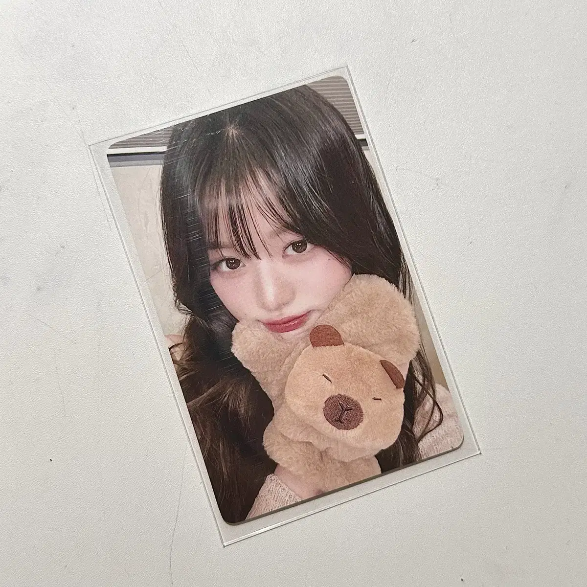 아이브 이즈위 2차 카피바라 원영 포카 판매