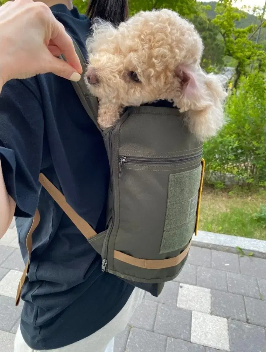 어부바 강제동화 어부바2 강아지 이동 가방 백팩 M 세트
