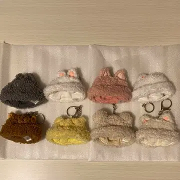 straykids 스키즈 skzoo 미니 보아 캡 컴프 세트