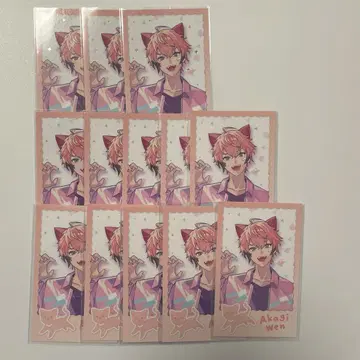 아카기 웬 완냥데이즈 폴라로이드 MECHATU-A 니지산지