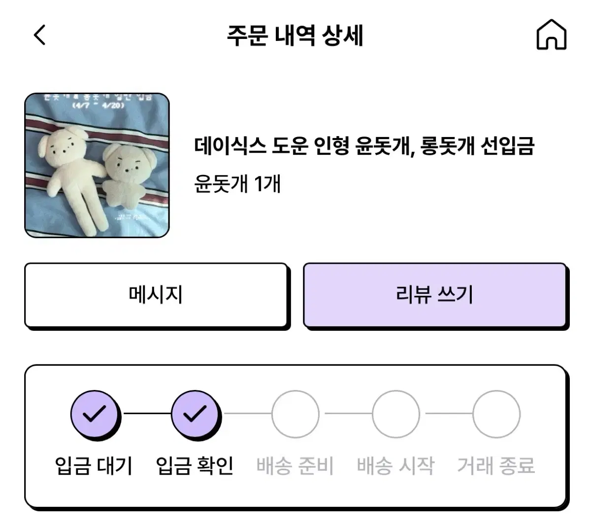 [원가 양도] 데이식스 도운 인형 윤돗개