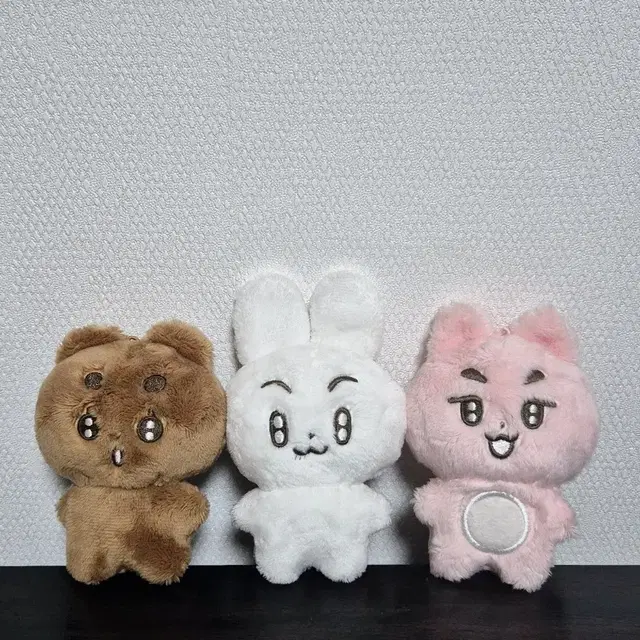 뽀바투 3개 일괄